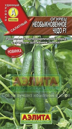 Огурец Необыкновенное чудо F1 10шт