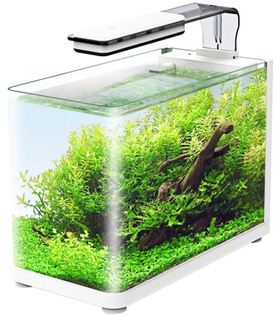 Аквариум прямоугольный полный комплект Atman RGT-35 белый 13л 5,4*18,4*26 см Аквариум прямоугольный полный комплект Atman RGT-35 белый 13л 5,4*18,4*26 см